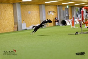 1_1T0A2830_DxO