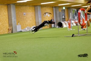 1_1T0A2831_DxO