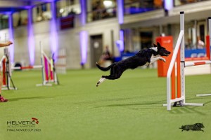 1_1T0A2868_DxO