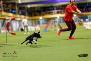 1_1T0A2993_DxO