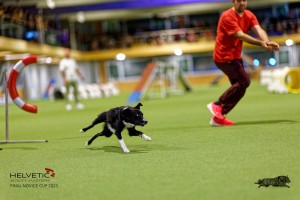 1_1T0A2994_DxO