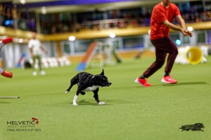 1_1T0A2995_DxO