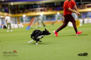 1_1T0A2996_DxO