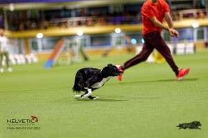 1_1T0A2997_DxO