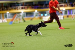 1_1T0A2998_DxO