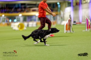 1_1T0A3002_DxO
