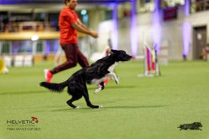 1_1T0A3004_DxO