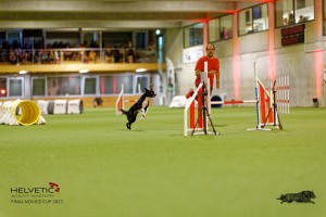 1_1T0A3047_DxO