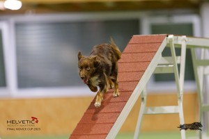 EH8A7884_DxO