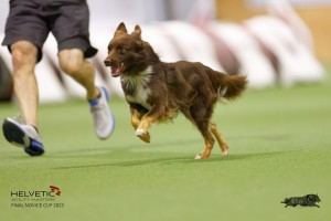 EH8A7895_DxO