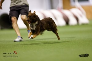EH8A7896_DxO