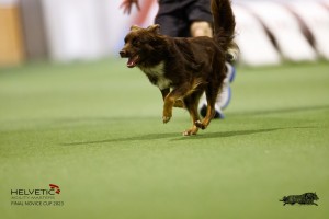 EH8A7900_DxO