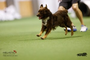 EH8A7902_DxO