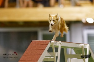 EH8A7950_DxO