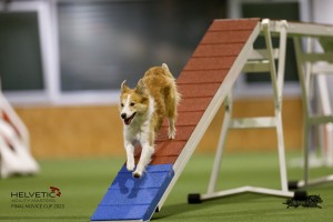 EH8A7961_DxO