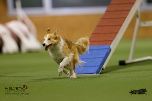 EH8A7965_DxO