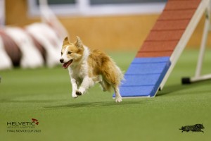 EH8A7966_DxO