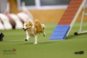 EH8A7967_DxO
