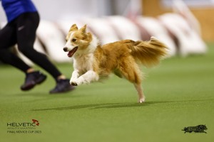 EH8A7972_DxO
