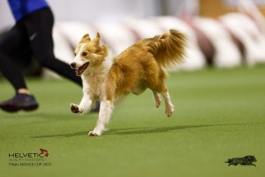 EH8A7973_DxO