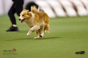 EH8A7976_DxO
