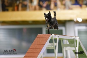 EH8A7984_DxO
