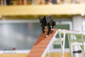 EH8A7987_DxO