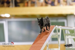 EH8A7988_DxO