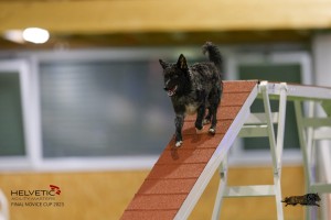 EH8A7989_DxO