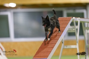 EH8A7990_DxO