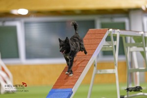 EH8A7991_DxO