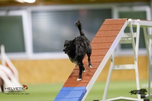 EH8A7992_DxO
