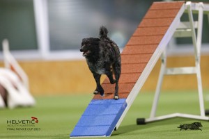 EH8A7993_DxO