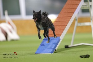 EH8A7994_DxO