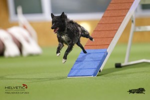 EH8A7995_DxO