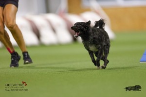 EH8A7999_DxO