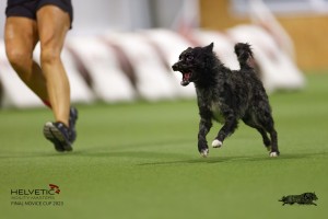 EH8A8000_DxO