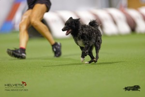 EH8A8004_DxO