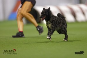 EH8A8005_DxO