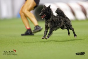 EH8A8006_DxO-1