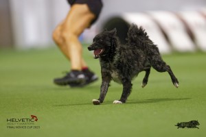 EH8A8007_DxO