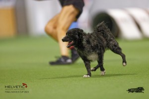 EH8A8008_DxO