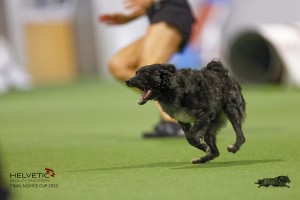 EH8A8009_DxO