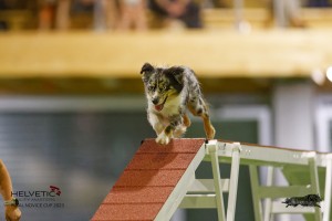 EH8A8029_DxO-1