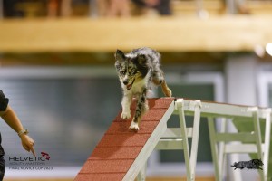EH8A8030_DxO-1