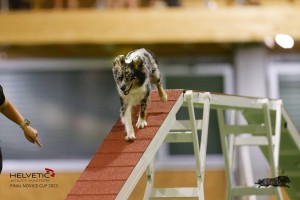 EH8A8031_DxO