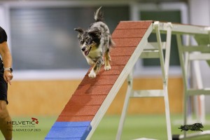 EH8A8034_DxO-1