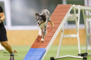 EH8A8035_DxO-2
