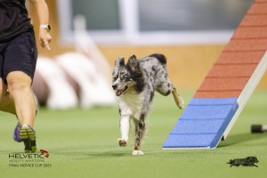 EH8A8041_DxO-1