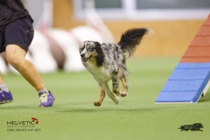 EH8A8043_DxO-1